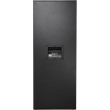兩分頻揚(yáng)聲器，90°X50°，雙15