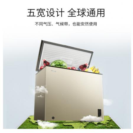 美菱(MELING)201升 一級(jí)能效冷藏冷凍轉(zhuǎn)換冰柜 節(jié)能靜音 單溫臥式  頂開(kāi)門 BC/BD-201DT