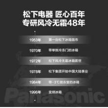 松下（Panasonic）307升全風(fēng)冷無霜家用雙門小冰箱 電腦控制 LED顯示屏 鈦鋼銀 NR-E29WS1-S