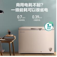 海信 (Hisense) 308升一級能效商用冰柜冷柜節(jié)能冰箱金色BD/BC-308NUD