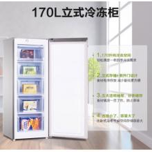 海信（Hisense）170升家用冰柜 一級能效節(jié)能立式冷凍 抽屜式儲存冷柜 側(cè)開門單門冰箱 BD-170/A 