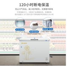 美菱(MELING)300升 冰柜 冷藏冷凍單溫轉(zhuǎn)換冷柜 一級能效 大冷凍臥式變溫 BC/BD-300DT