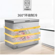 美菱(MELING)207升 冰柜 電腦控溫一級(jí)能效 商用冷藏冷凍轉(zhuǎn)換冷柜 節(jié)能單溫臥式 BC/BD-207DTE