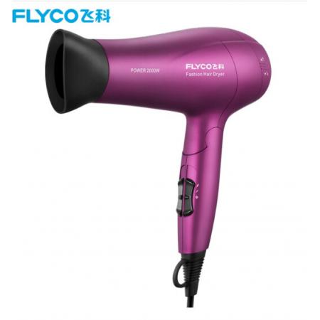 飛科(FLYCO)電吹風(fēng)機(jī) FH6618大功率吹風(fēng)筒負(fù)離子 2000W