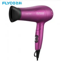 飛科(FLYCO)電吹風(fēng)機 FH6618大功率吹風(fēng)筒負(fù)離子 2000W