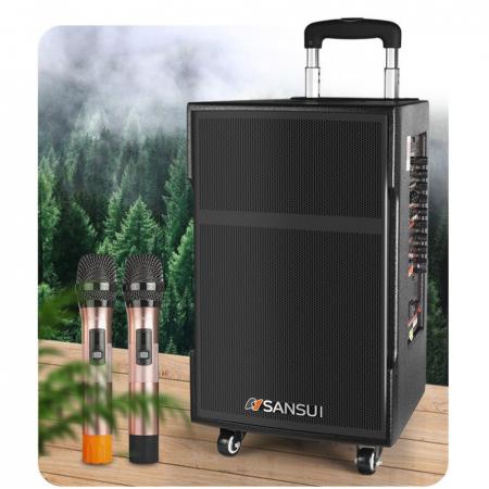 山水（SANSUI） SG3藍(lán)牙音箱戶外移動 專業(yè)廣場舞音響木質(zhì)大功率演出音箱 SG3-15（帶話筒）