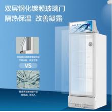 海爾（Haier） 280升風冷無霜立式展示柜冰柜  保鮮柜冷柜SC-288DS