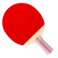 紅雙喜DHS三星直拍乒乓球拍對拍套裝五層底板ITTF認(rèn)證膠皮H3006雙拍附球包乒乓球