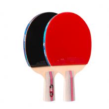 紅雙喜DHS三星直拍乒乓球拍對拍套裝五層底板ITTF認(rèn)證膠皮H3006雙拍附球包乒乓球