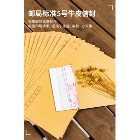 得力(deli)20張5號牛皮紙信封  米黃色-5號(20個/包) 3423-20