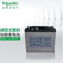 施耐德 M2AL12-65CFR 蓄電池