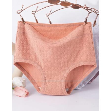 貓人女士內(nèi)褲H組：膚色+紫色+淺粉+淺藍(lán)  3XL (建議135-155斤)