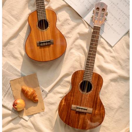 彩虹人（aNueNue）ukulele尤克里里初學者烏克麗麗小吉他 23英寸B2桃花芯木