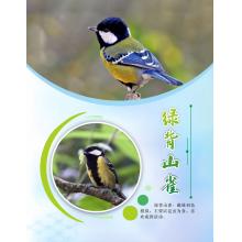 海報(bào)訂制	60*90cm