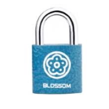 梅花（BLOSSOM）抽屜鎖掛鎖工具箱室內小鎖宿舍柜子門鎖電表箱鎖BC2925藍25MM